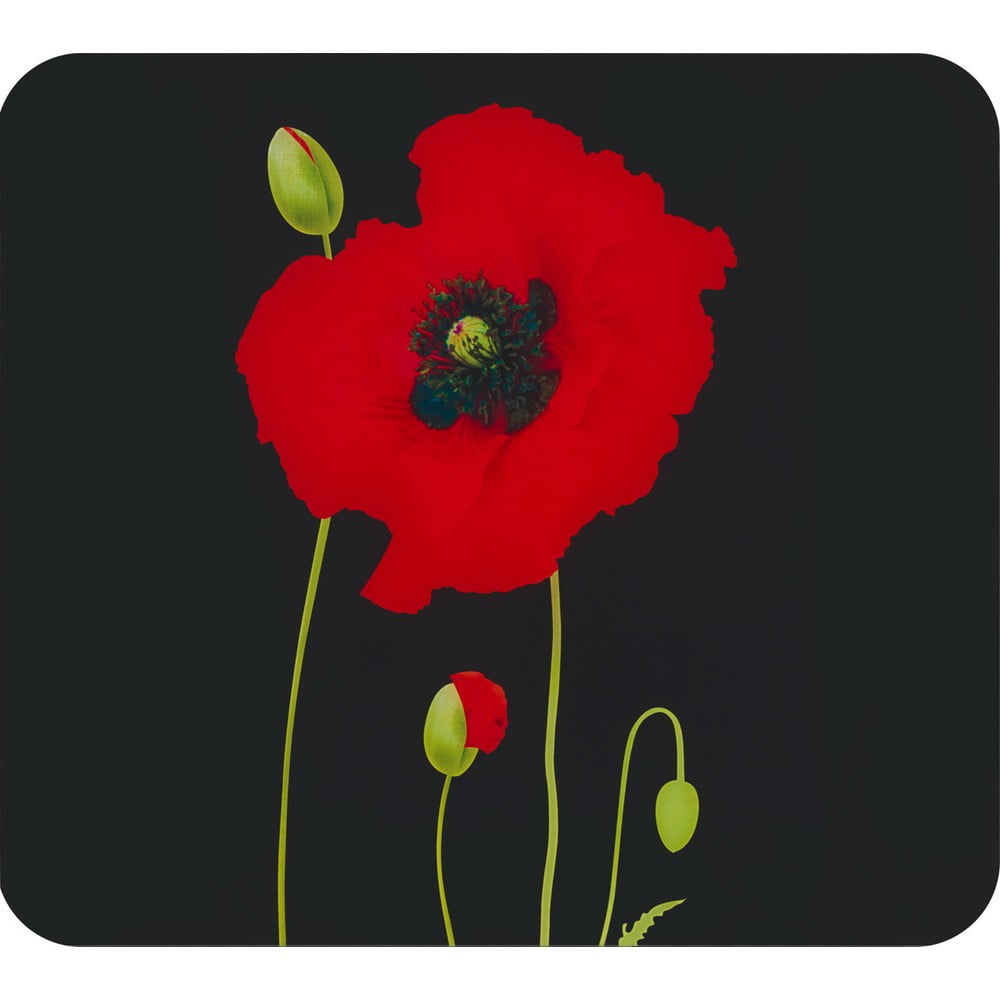 Protecție din sticlă temperată pentru peretele de lângă aragaz 50×56 cm Poppy – Maximex