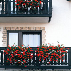 balcon cu flori legenda casei